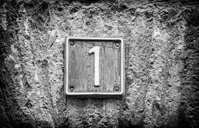 apprendre sur la numérologie du chemin de vie 1